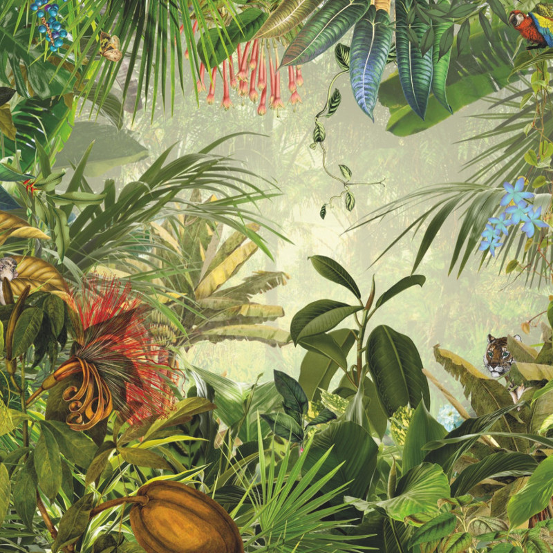 Poster XXL Paysage de la jungle