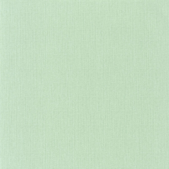 Papier peint Uni Natté vert amande - GREEN LIFE - Caselio - GNL101567001