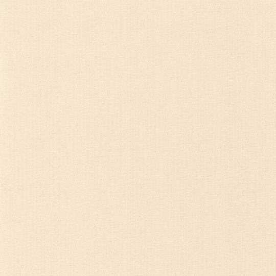 Papier peint Uni beige calcaire - L'ESCAPADE - Caselio - EPA101561055