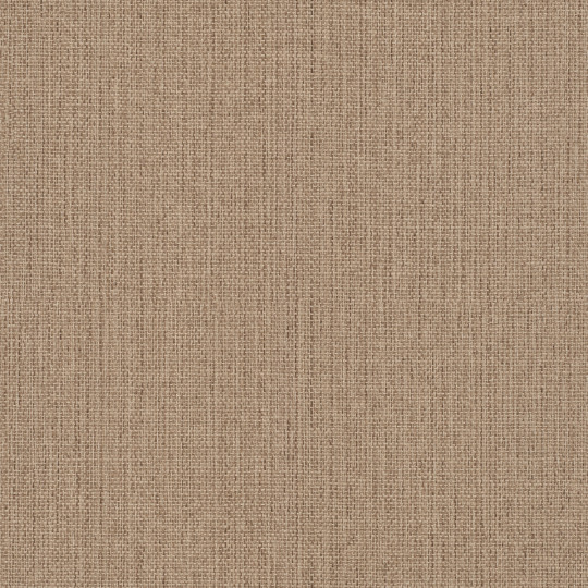 Papier peint Uni marron beige - KIMONO - Rasch - 407914