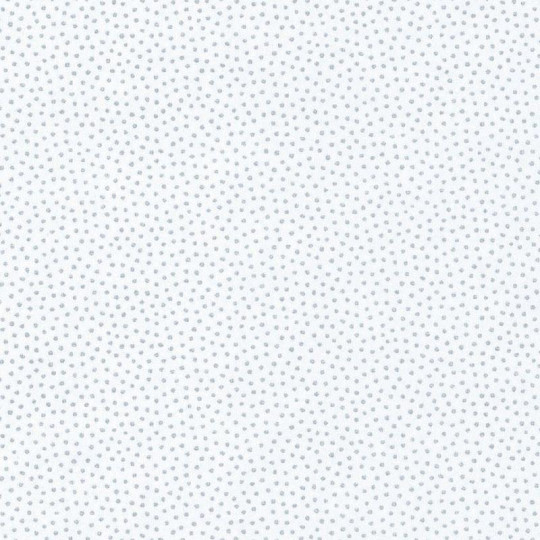 Papier peint Goma blanc et argent - HANAMI - Caselio - HAN100400101