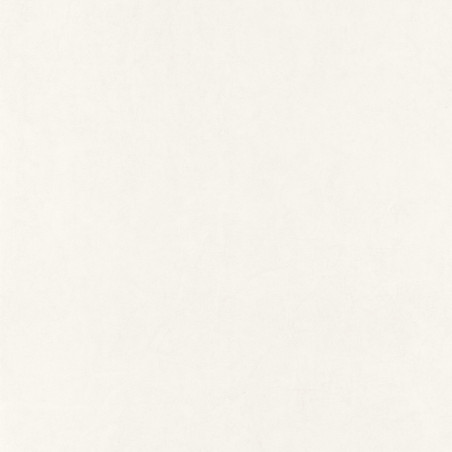 Papier peint intissé Florescence Kiosque uni beige - ARTS & CRAFTS - Caselio - ARCR82381141