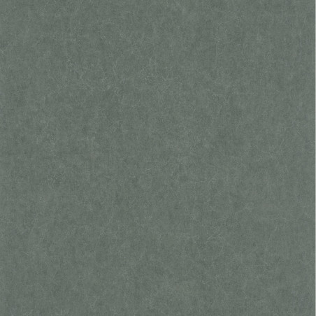 Papier peint intissé Oxford Lewis uni kaki - ARTS & CRAFTS - Caselio - ARCR84077414