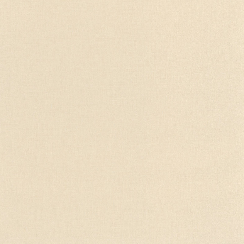 Papier peint vinyle sur intissé Uni taupe clair - Basics - Caselio - BAI64522220