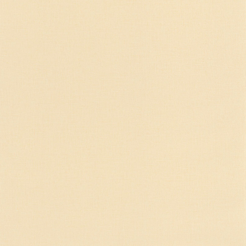 Papier peint vinyle sur intissé Uni beige - Basics - Caselio - BAI64521270