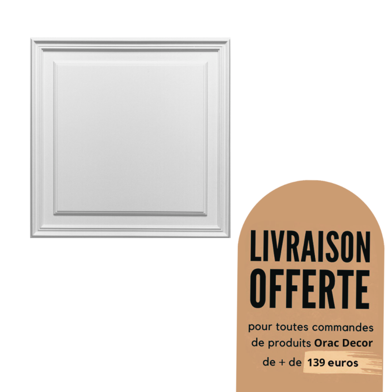 Panneaux muraux 3D - Élément décoratif de porte Duropolymer® - Orac Decor - D503