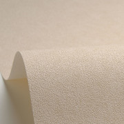 Papier peint vinyle sur intissé Uni mat beige argile - Azur - Caselio - AZU105241844