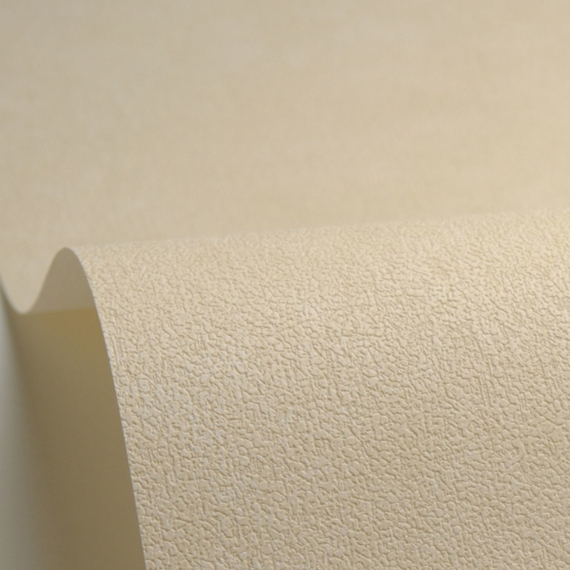 Papier peint vinyle sur intissé Uni mat beige - Azur - Caselio - AZU105241110