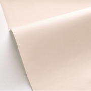 Papier peint intissé Smile Uni beige - AUTOUR DU MONDE - Caselio - ADM69861303