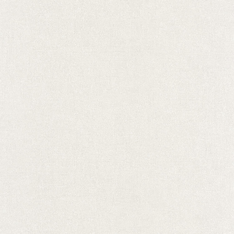 Papier peint vinyle sur intissé uni blanc givré - Empreinte - Casadeco - EMPR88700108